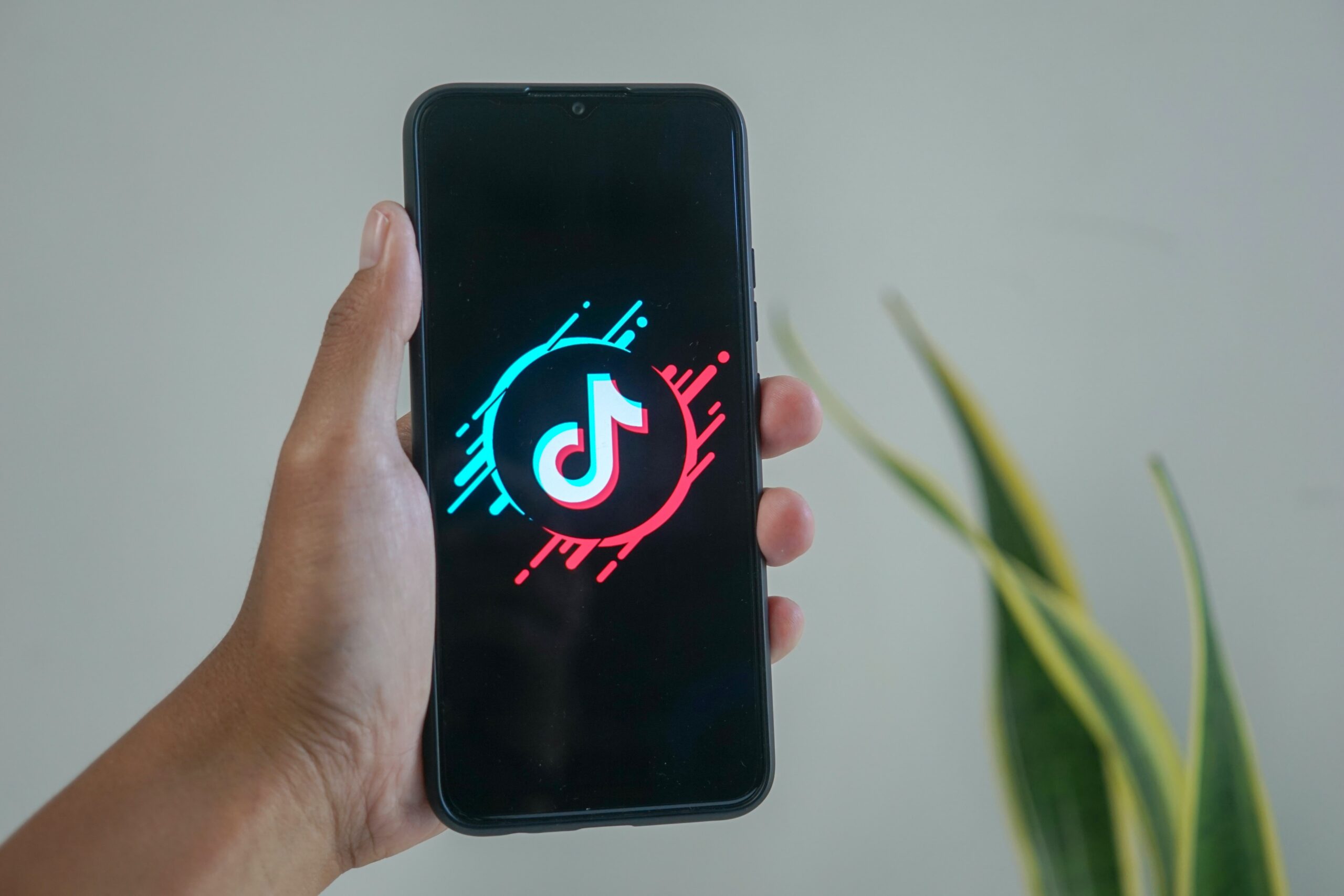 TikTok Erfolgsgeheimnis